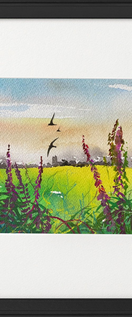 Dusk  Swallows over Rosebay Willowherb fields  Framed by Teresa Tanner