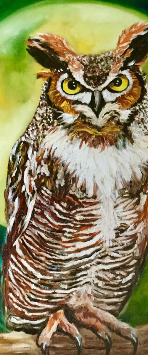Owl, the night is silent. by Olga Koval