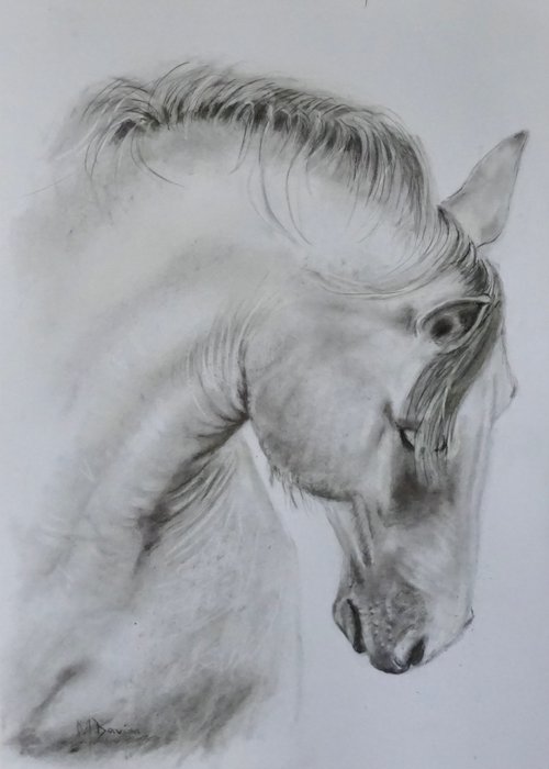'Majestic' Horse by Mel Davies Original Art