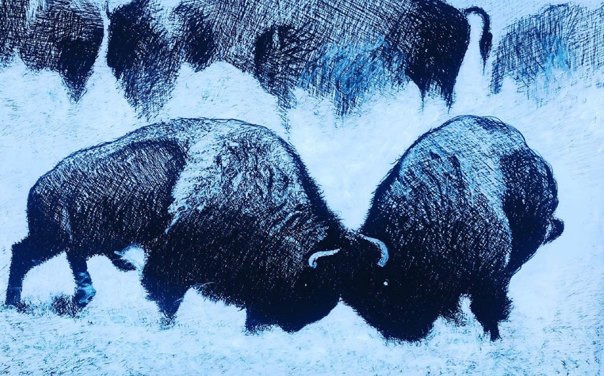 Impressionistic Animal Charcoal Drawing By Shabs Beigh, 42 X 28", The Bison Rut, Original Artwork