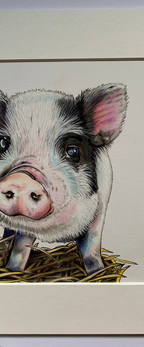 Little piglet by Karen Elaine  Evans