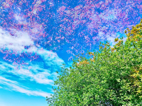 Changing seasons - A3