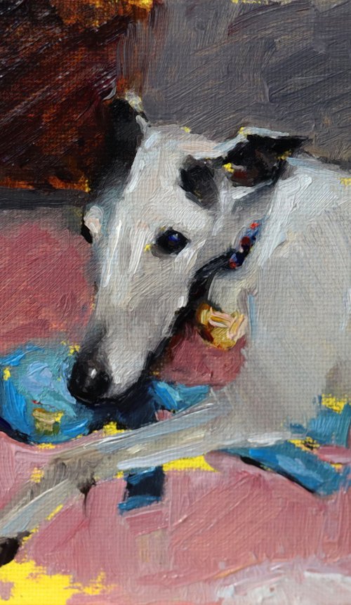 Study Of A Whippet by Jade Eynon