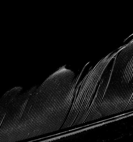Untitled I