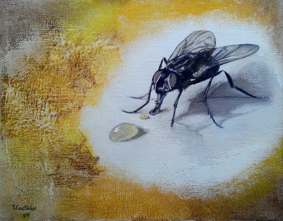 La mosca y la miel