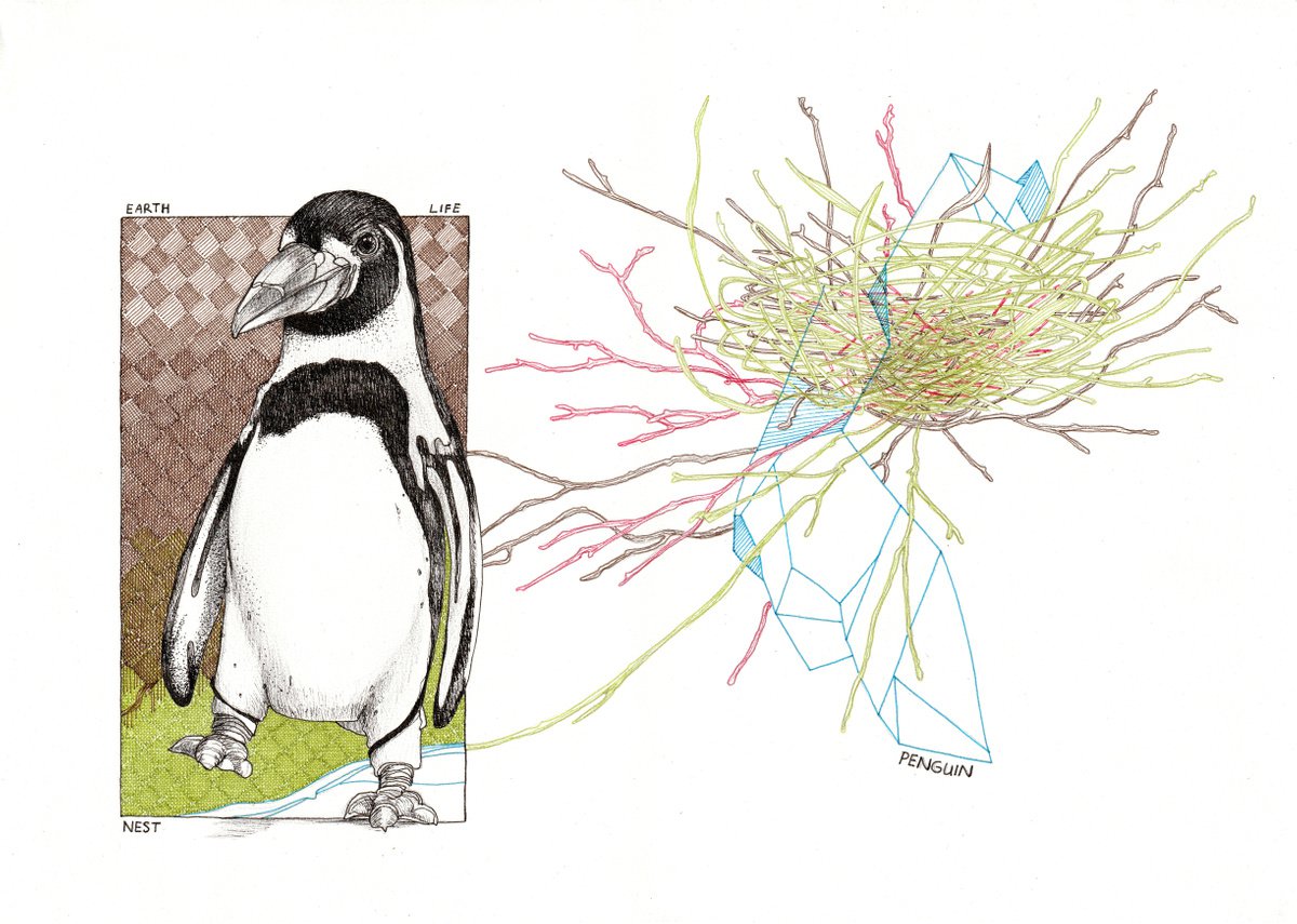 Earth, life, nest, penguin by Arjan Winkelaar