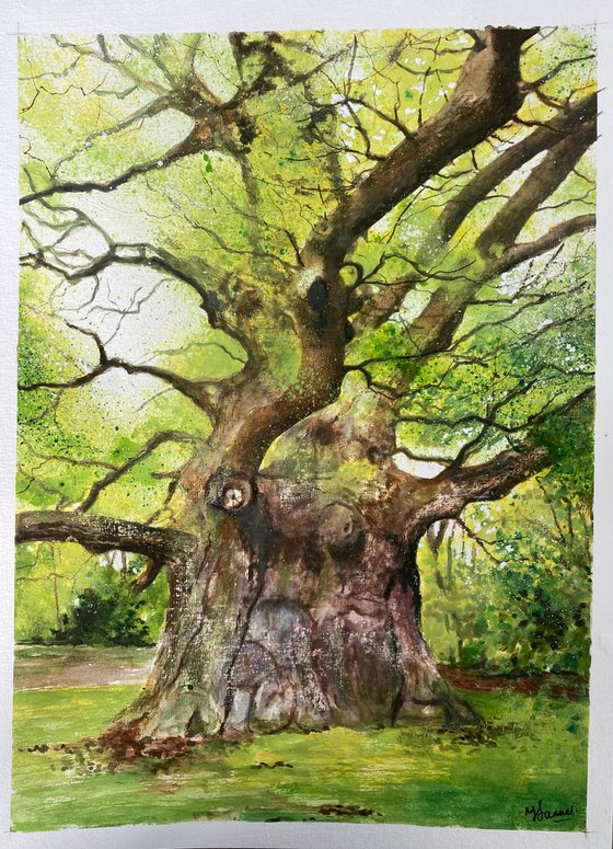 Majesty oak tree