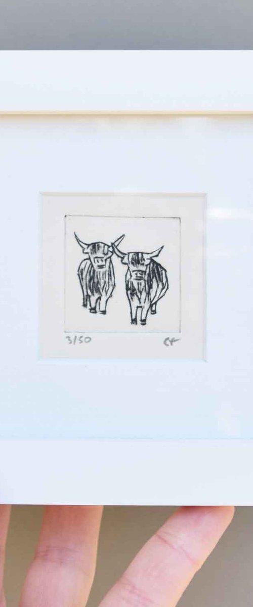 Mini framed two highland cows by Sally Fisher