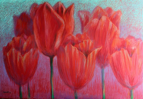 Red Tulips on Red