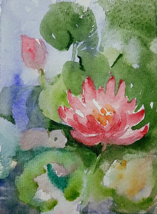 Pink Lotus Pond in the garden by Asha Shenoy