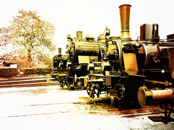 Old steam trains in the depot - print on canvas 60x80x4cm - 08368m1