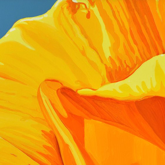 Californian Poppy and Wind #5