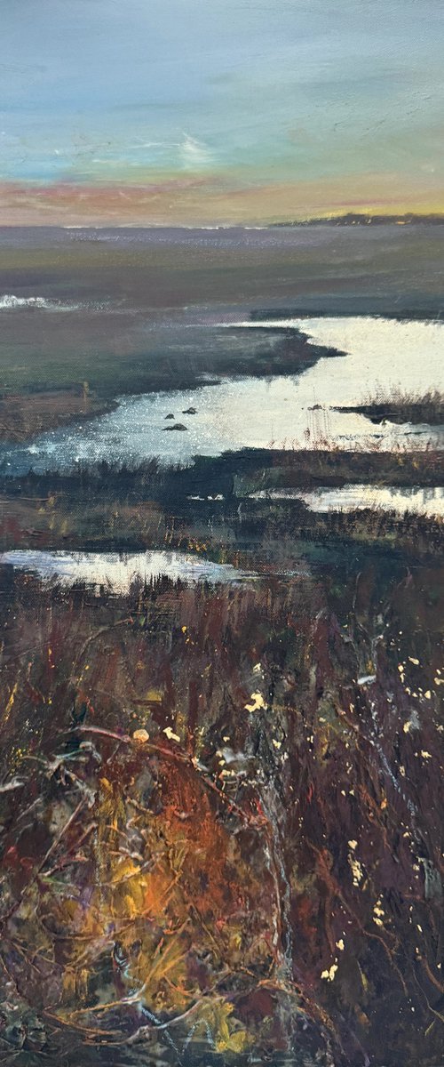 Marshes Dusk by Teresa Tanner