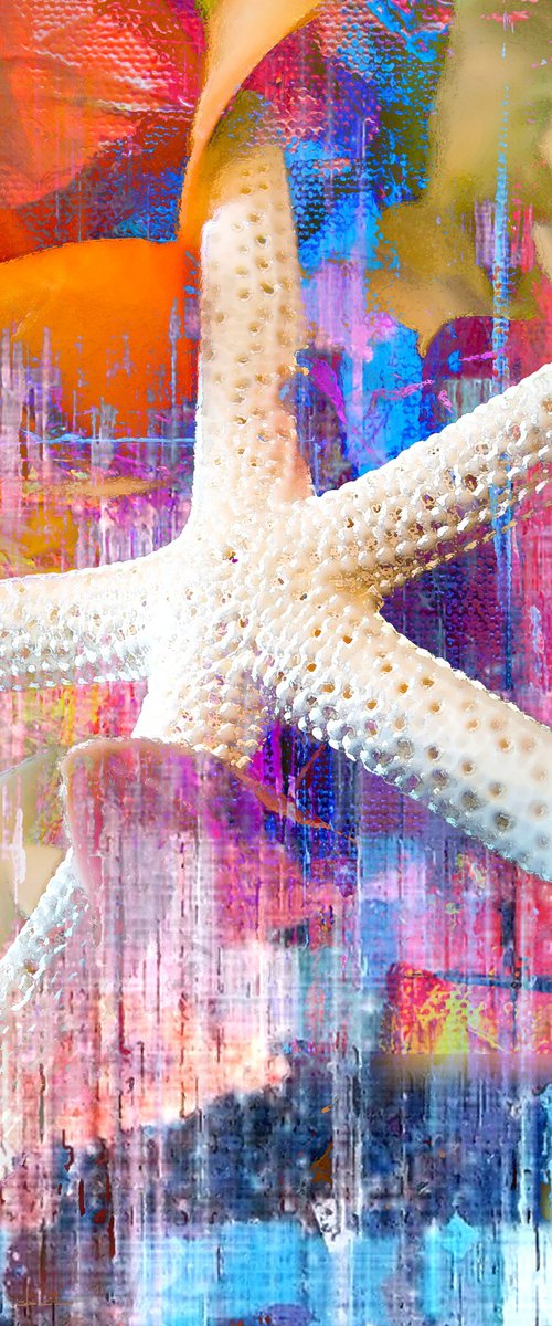 Red Sea Star by Alex Solodov