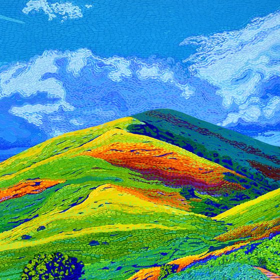 California Hills In Bloom