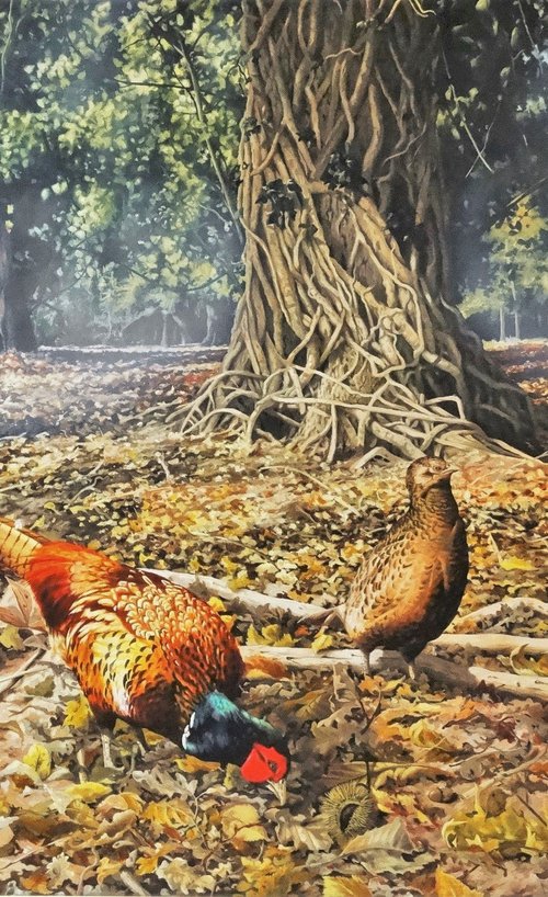 Woodland Pheasants by Julian Wheat
