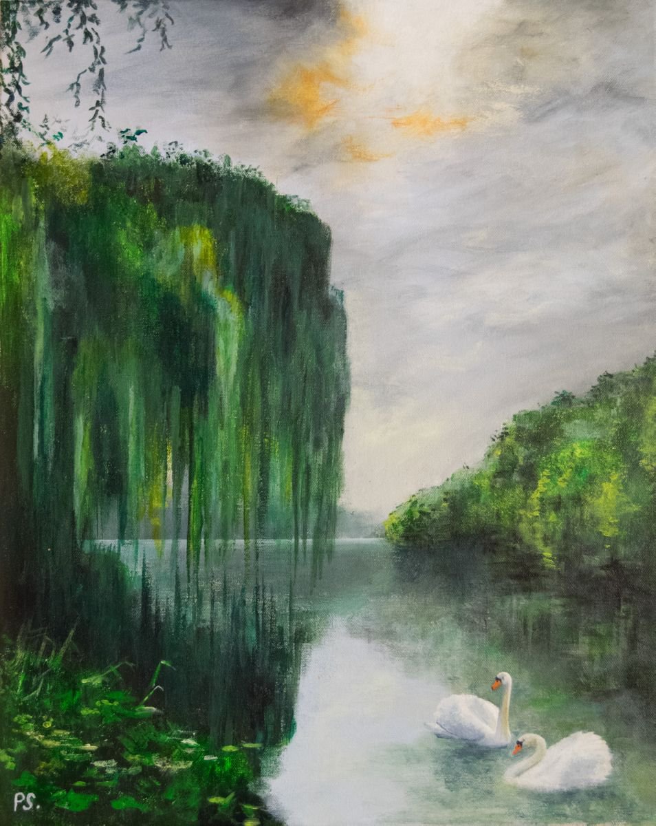Swans by Phillip Scaife