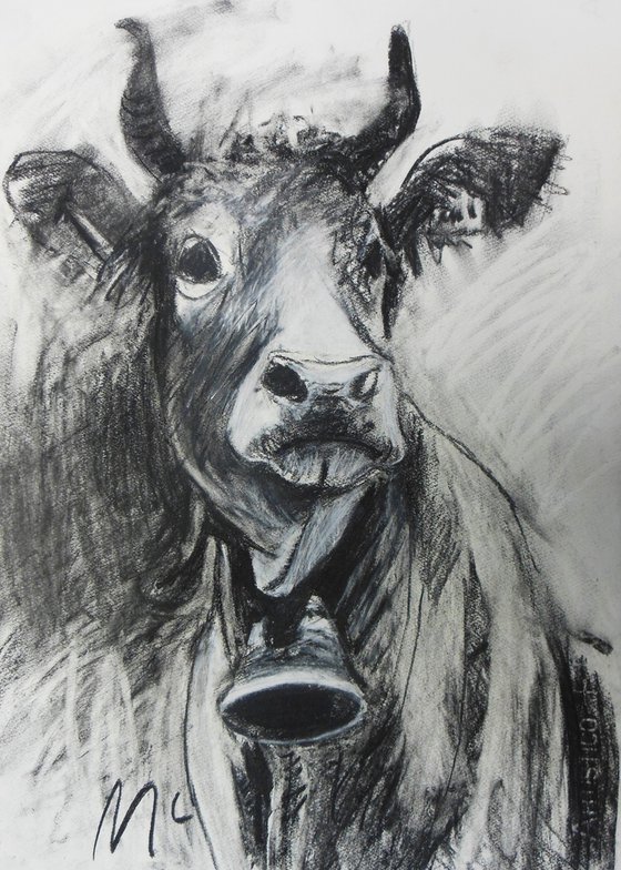 Swiss Cow Drawing I