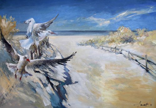 Baltic seagulls by Henadzy Havartsou