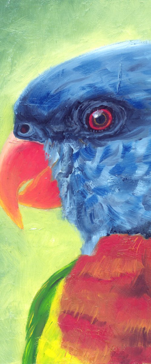 Lorikeet by Rebeca Fuchs