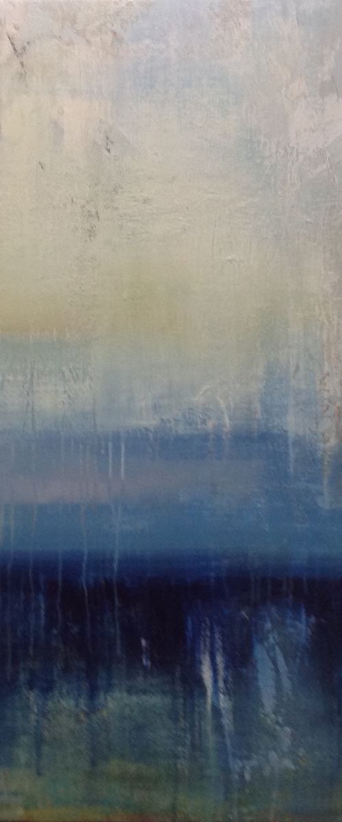Everglades by Hennie Van de Lande
