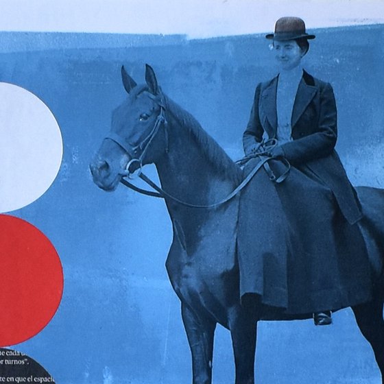 302_Horses