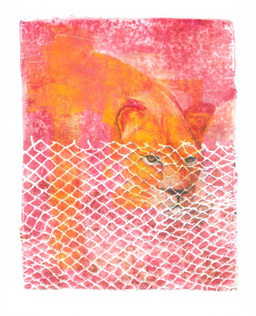 ZOO 2 - Lion by Hilde Hoekstra