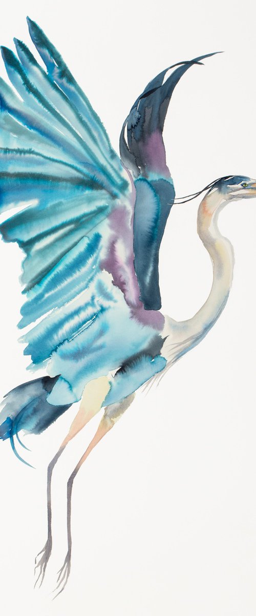 Heron in Flight by Elizabeth Becker