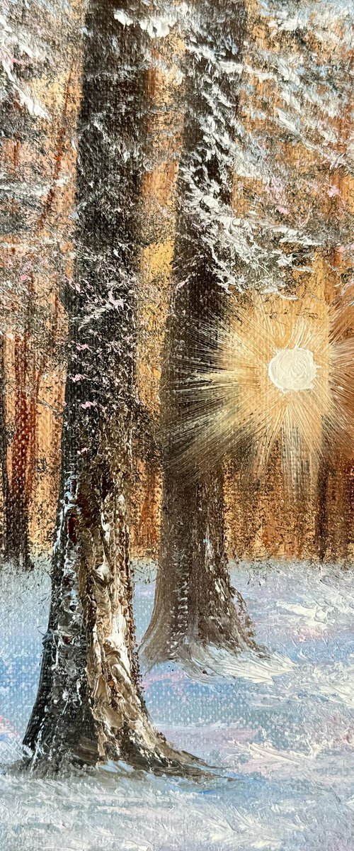 Light of the Winter by Tanja Frost