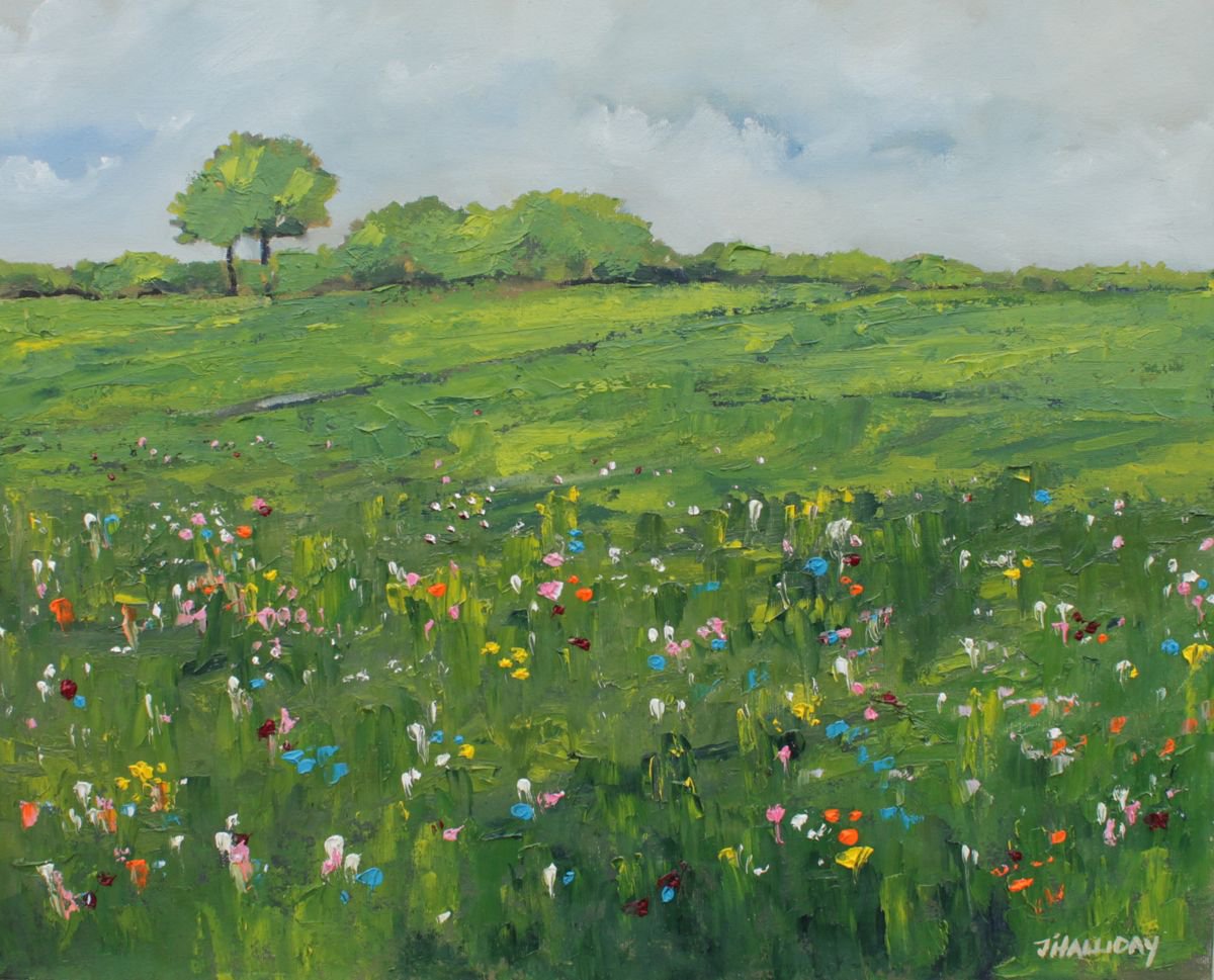 Wildflowers by John Halliday
