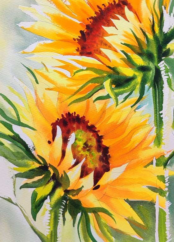 Sunflowers