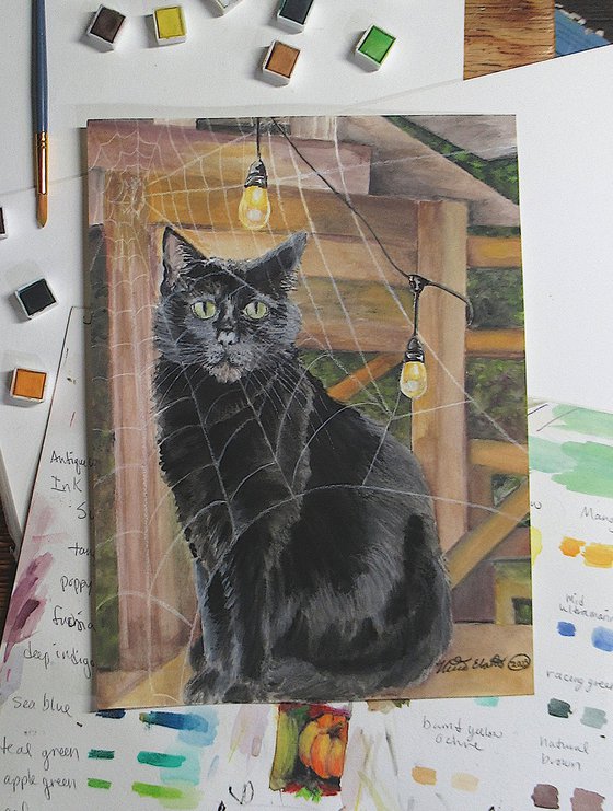 Black Cat Behind A Spider Web
