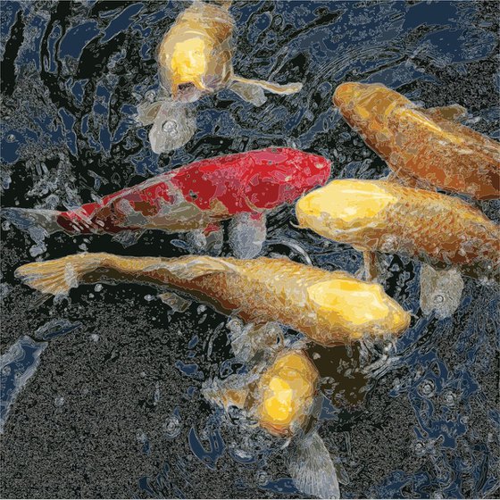 6 KOI CARP