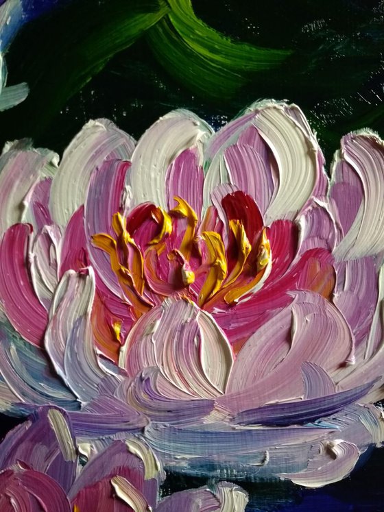 Waterlilies