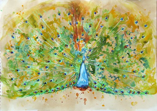 Peacock I by Anna Sidi-Yacoub