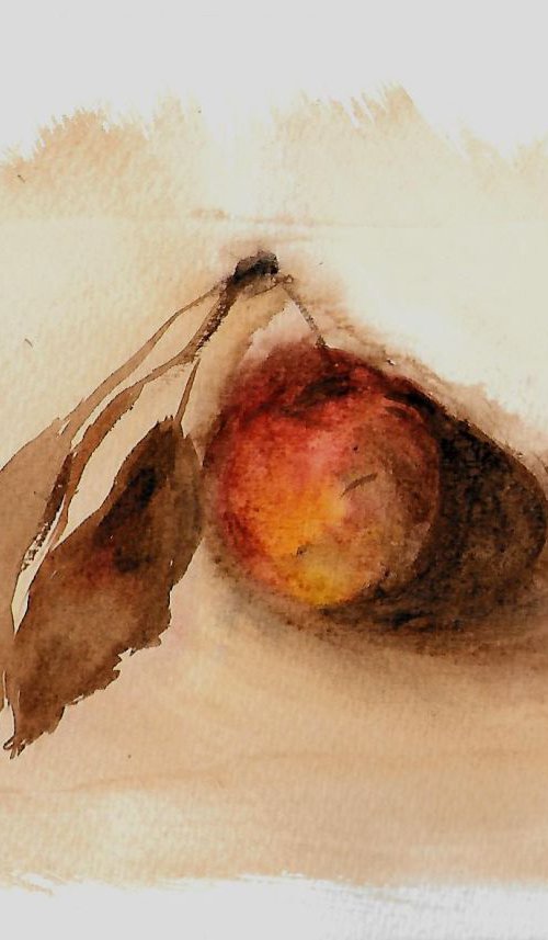 Still Life #17: Apple, 21x15 cm by Frederic Belaubre