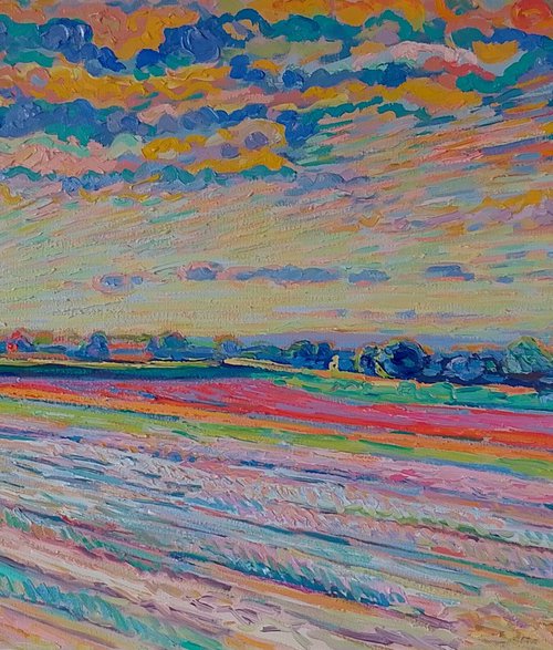 Sunset over tulip field by Nigel Dickerson