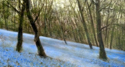 Artwork by Jennifer Taylor