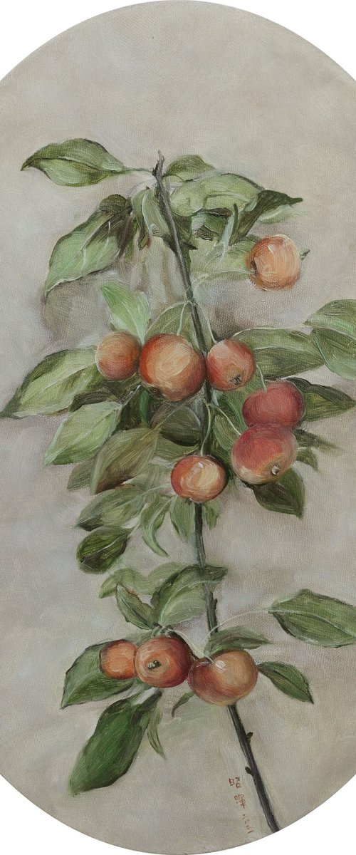 autumn fruits - crab apple by Zhao Hui Yang