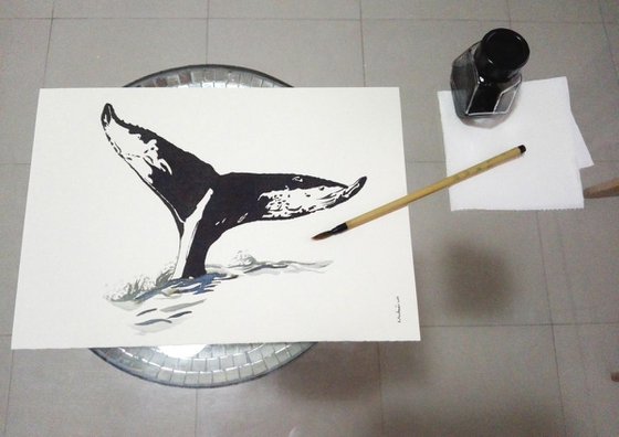 Whale I Animal Drawing