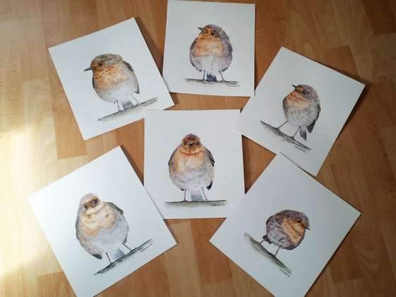 Watercolour birds portraits series. Robin Birds. Hans