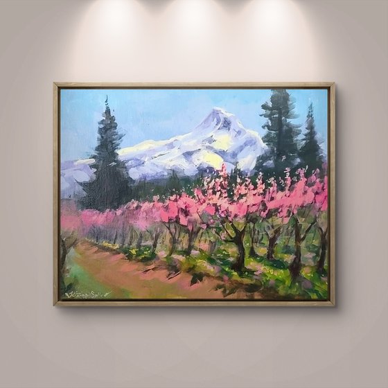 Montain View Orchard