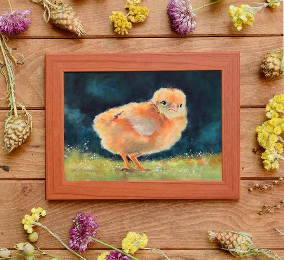 Small cute yellow chick 1