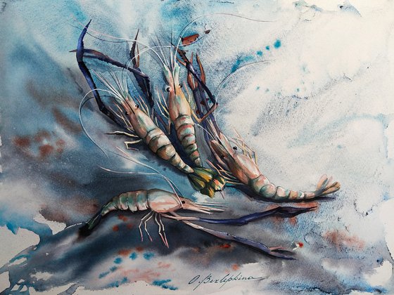 River shrimps