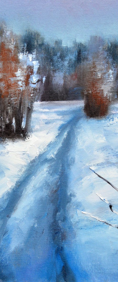 Snow path by Elena Lukina