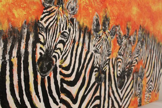 Stripes-Herd of Zebras