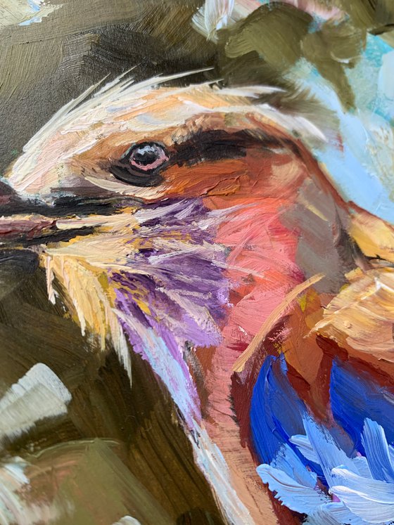 Bird.