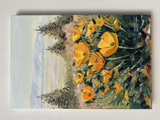 Monterey in Bloom
