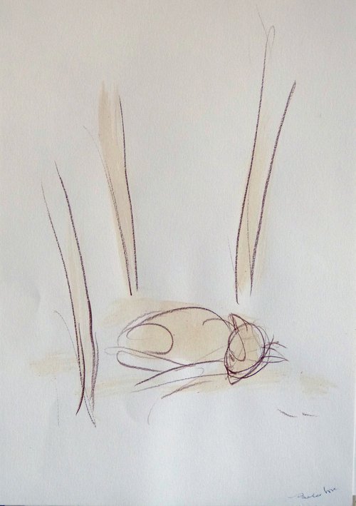 The Sleeping Cat 2, 29x41 cm - EXCLUSIVE to AF by Frederic Belaubre