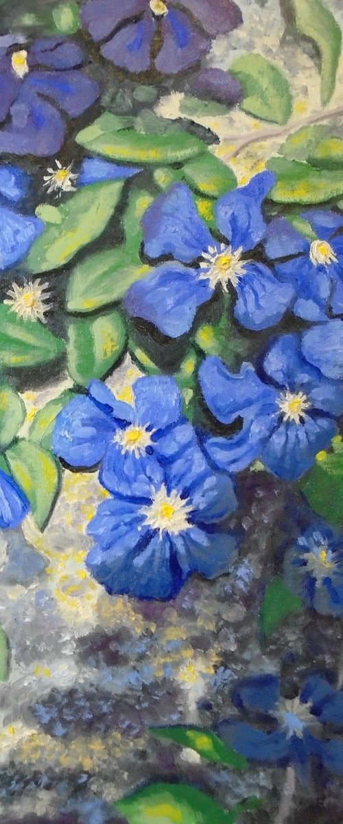Clematis on a summer wall by Michael Mullen